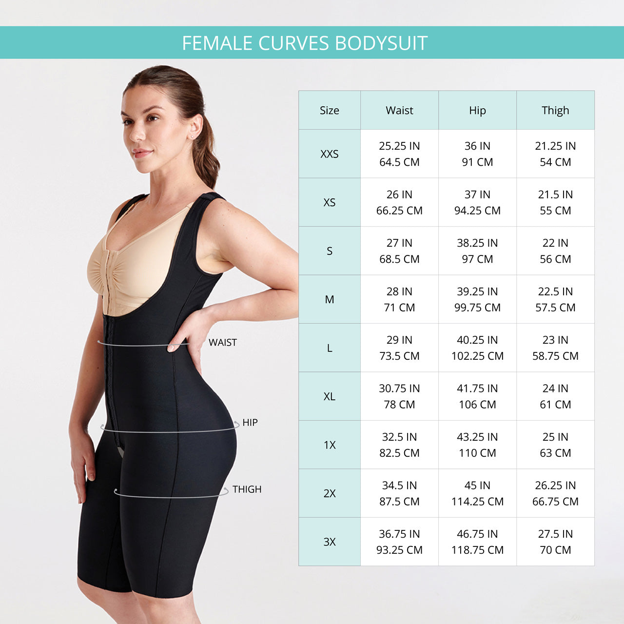 Female Curves Size Guide The Marena Group, LLC